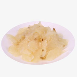 千庫網(wǎng)高清免費(fèi)海蜇素材下載 白色透明海蜇（編號7779354）產(chǎn)品實(shí)物PNG圖片